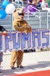 Paws cheering