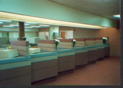 Enrollment Counter 19987