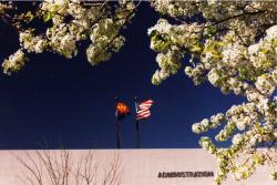 2007 A Building Flags