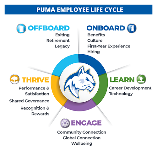 Puma Lifecycle