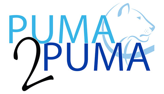 Puma 2 Puma logo